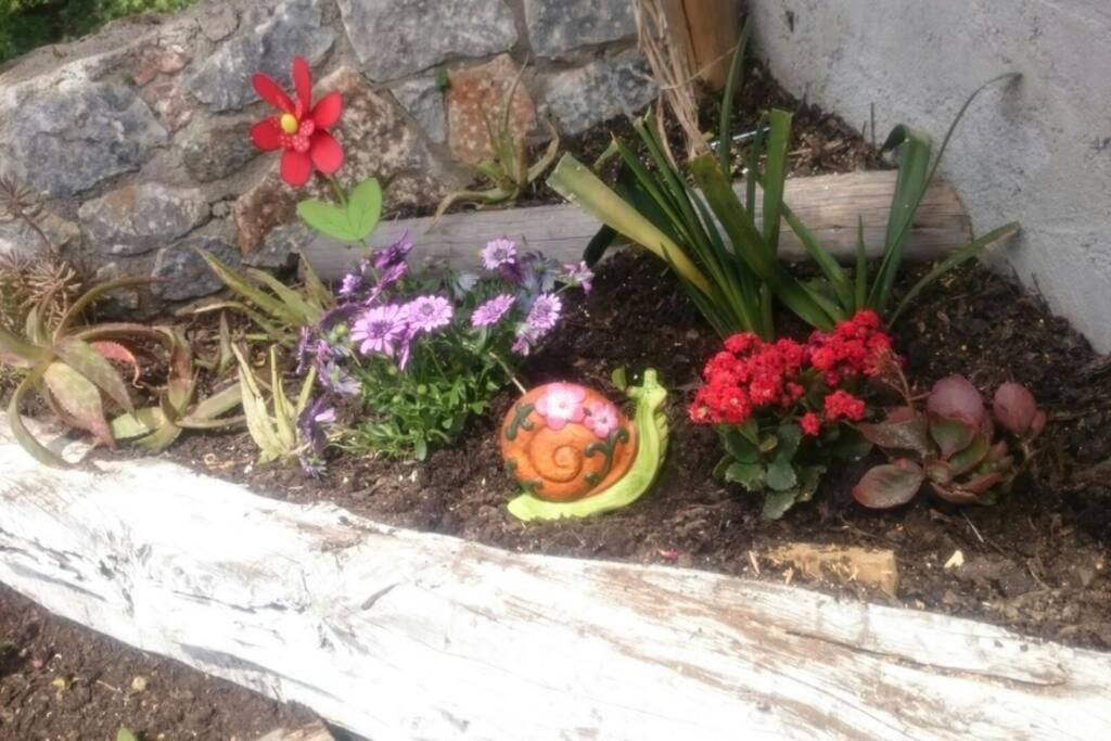 Ferienwohnung Nemesis Paleochora Chania  Exterior foto